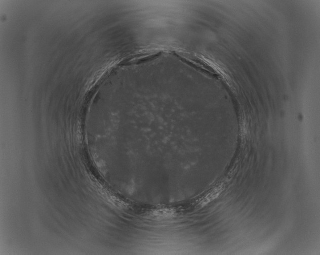 X0000077320353200611031711