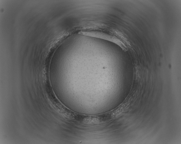 X0000077320354200611031711