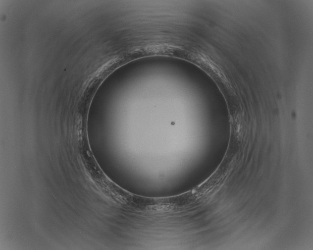 X0000077320356200611031711