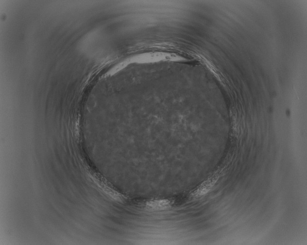 X0000077320357200611031711