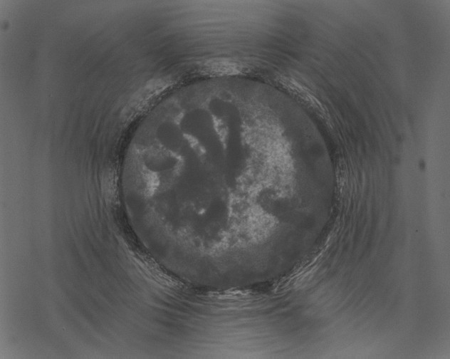 X0000077320359200611031711