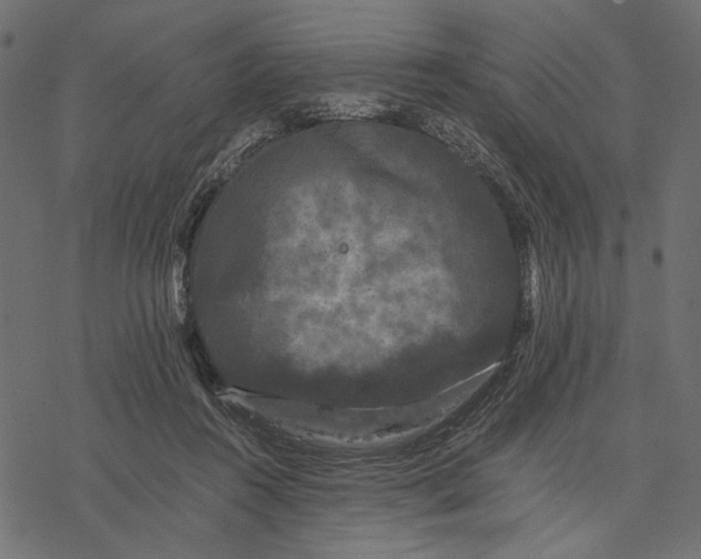 X0000077320360200611031711