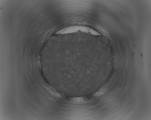 X0000077320361200611031711