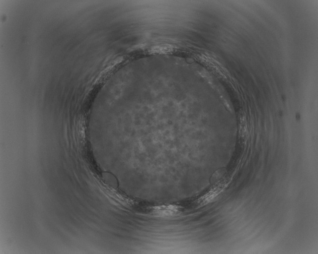 X0000077320363200611031711