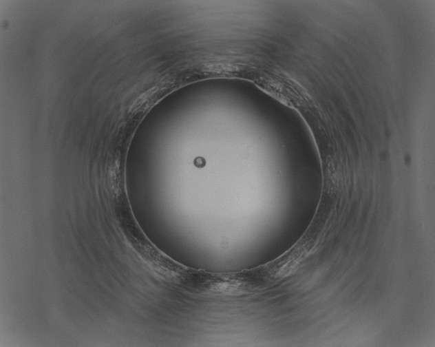 X0000077320364200611031711