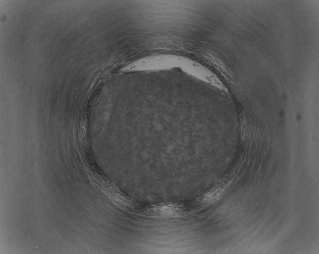 X0000077320365200611031711