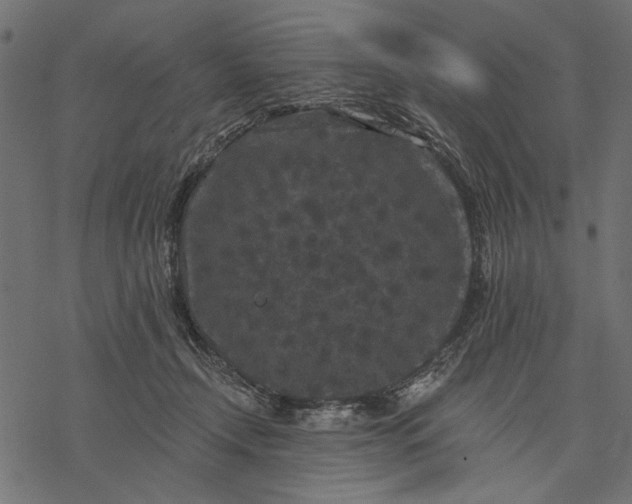 X0000077320366200611031711