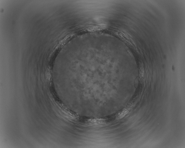 X0000077320367200611031711