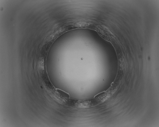 X0000077320368200611031711