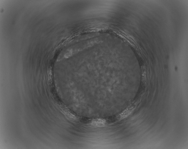 X0000077320369200611031711