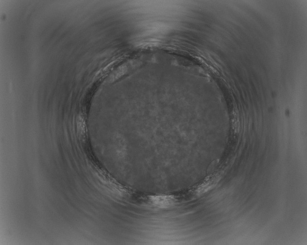 X0000077320371200611031711