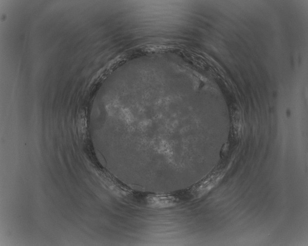 X0000077320372200611031711