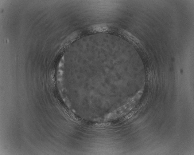 X0000077320373200611031711