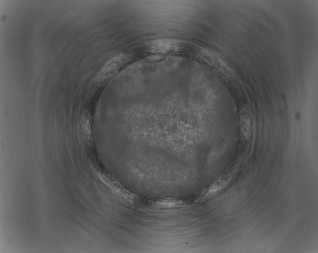 X0000077320375200611031711