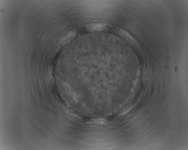 X0000077320377200611031711