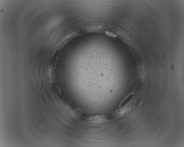 X0000077320378200611031711