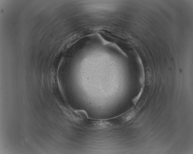 X0000077320379200611031711