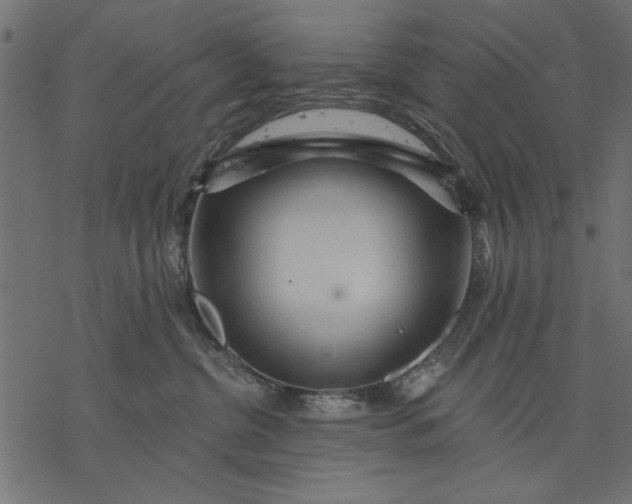 X0000077320380200611031711