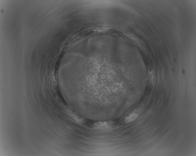 X0000077320381200611031711