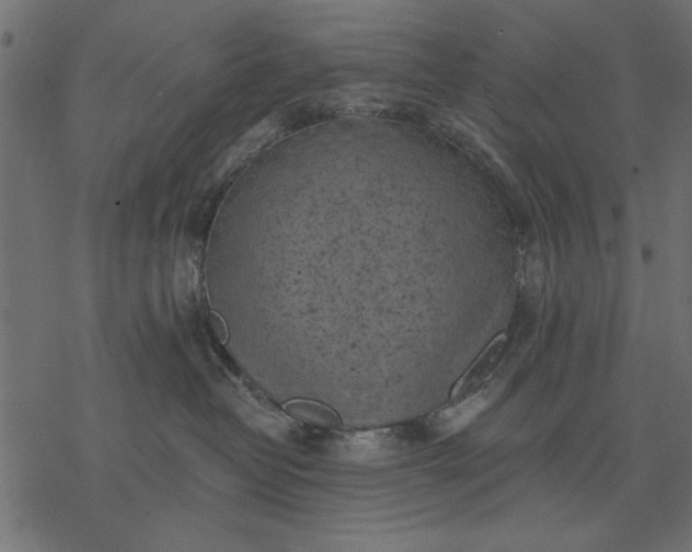 X0000077320382200611031711