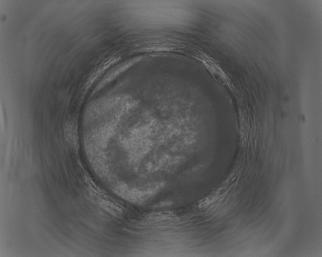 X0000077320386200611031711