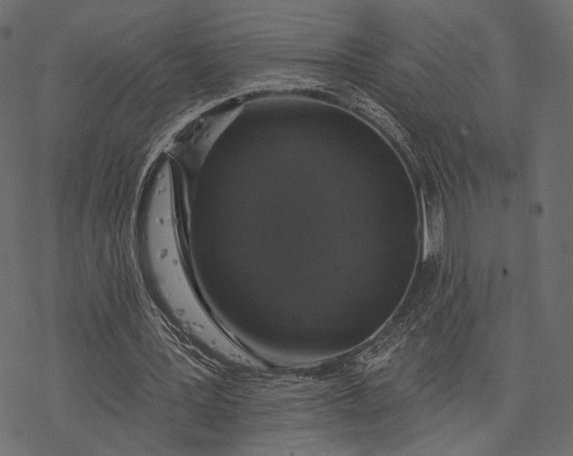 X0000077320387200611031711