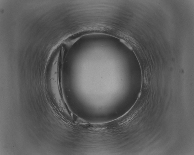 X0000077320388200611031711