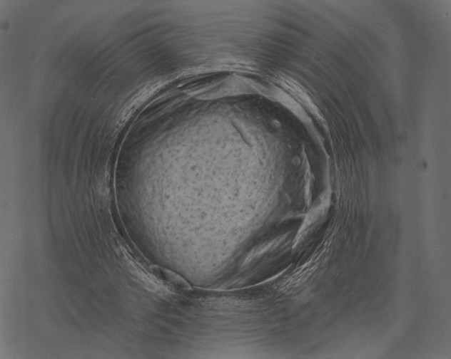 X0000077320389200611031711