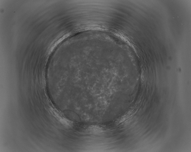 X0000077320390200611031711