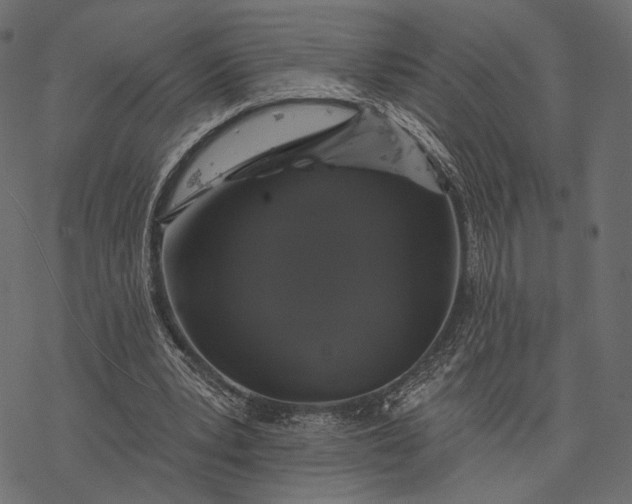 X0000077320391200611031711