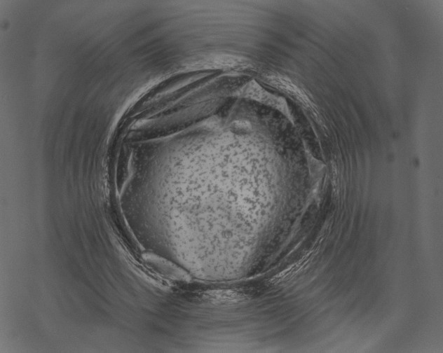 X0000077320392200611031711