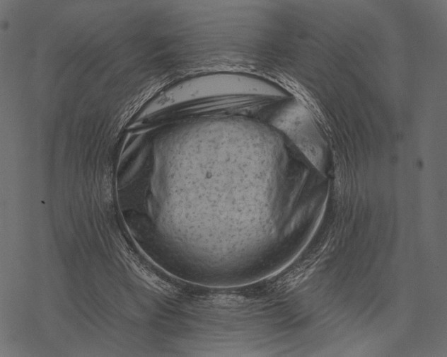 X0000077320393200611031711