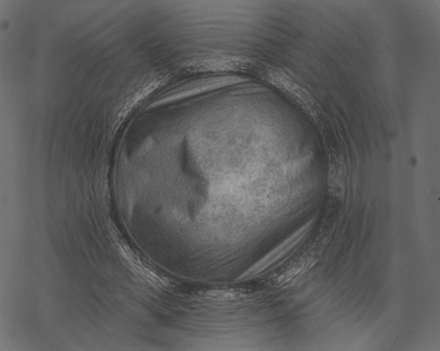 X0000077320394200611031711