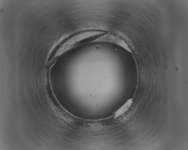 X0000077320395200611031711