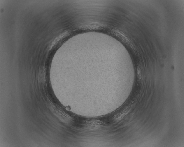 X0000077320396200611031711