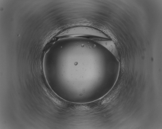 X0000077320397200611031710