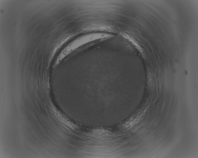 X0000077320399200611031710