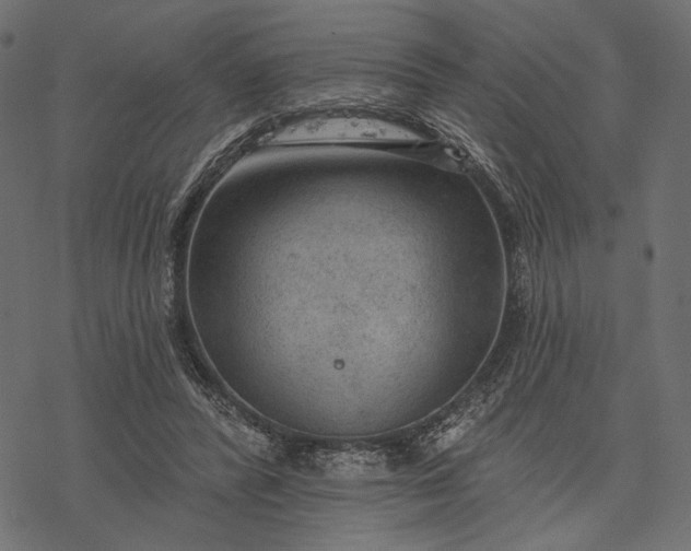 X0000077320400200611031710