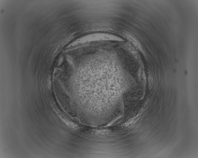 X0000077320401200611031710