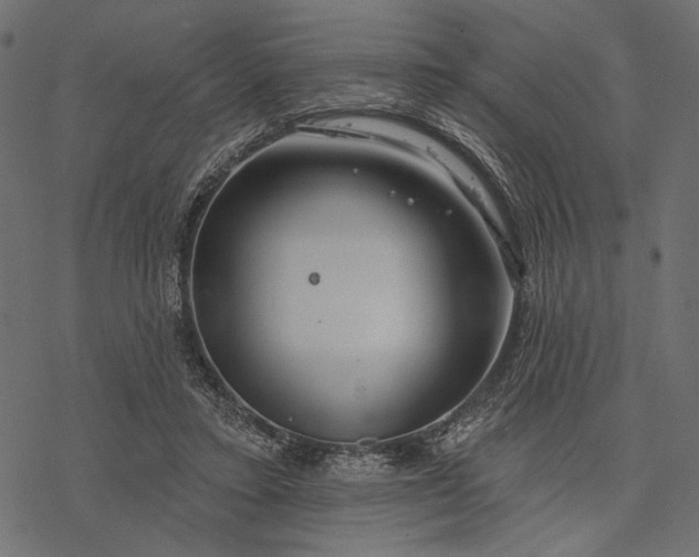 X0000077320403200611031710