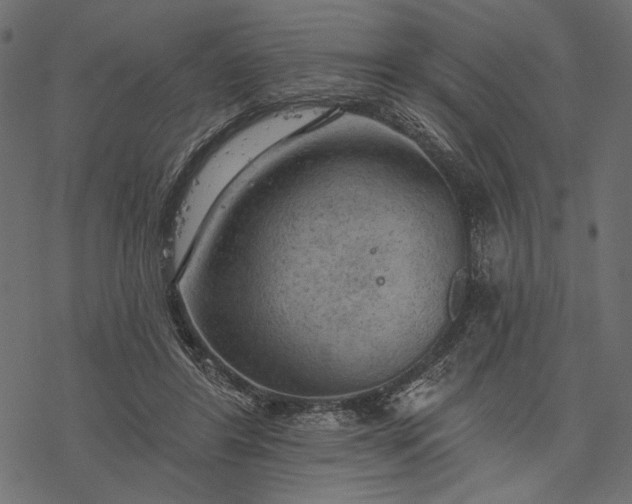 X0000077320404200611031710