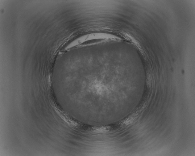 X0000077320405200611031710