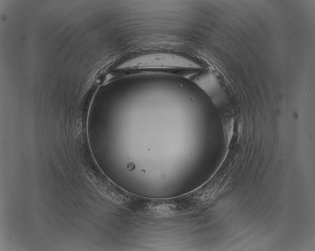 X0000077320407200611031710