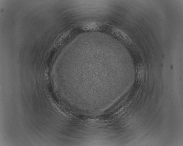 X0000077320408200611031710