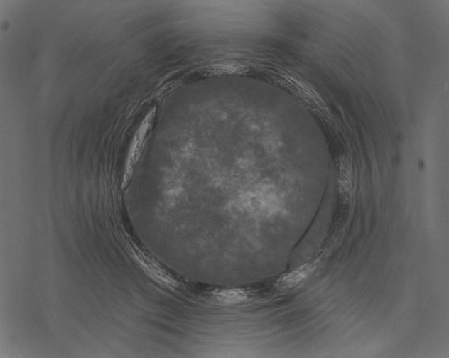 X0000077320409200611031710