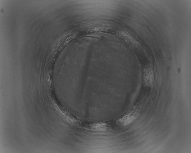 X0000077320410200611031710