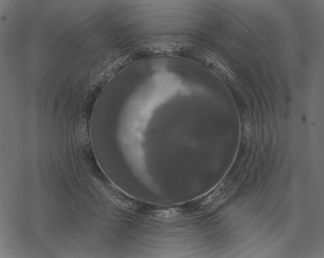 X0000077320411200611031710