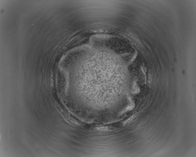 X0000077320413200611031710