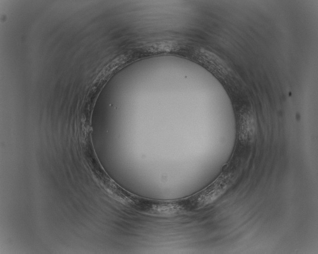 X0000077320414200611031710