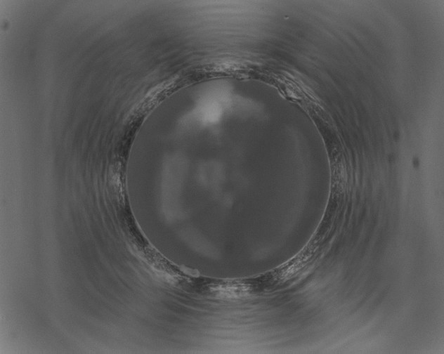 X0000077320415200611031710